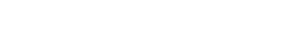 LES RAMONEURS BORDELAIS